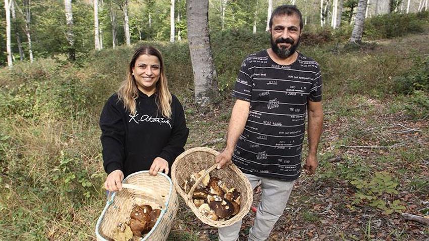 Sinop'ta köylünün yeni gelir kapısı oldu! Sırf bunu toplamak için işten çıktılar: Bir haftada 20 milyon lira kazandırdı, ormanın her köşesinden adeta fışkırıyor