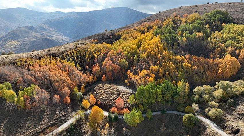 Muş'ta sonbahar şöleni: 35 Doğa tutkunu, sonbaharın en güzel manzarasını görüntüledi!