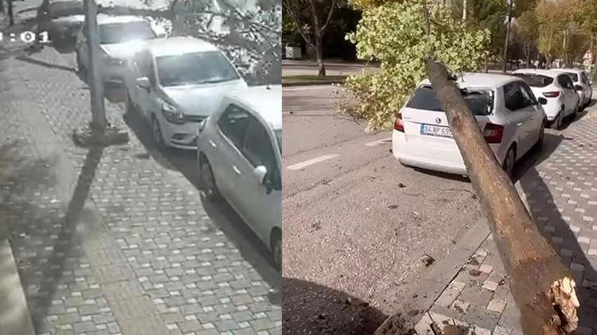 Bursa'da lodos 45 kilometre hızla etkili oldu! Çatılar uçtu, ağaçlar devrildi: O anlar güvenlik kamerasında