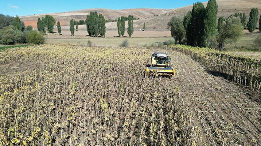 Konyalı çiftçilerin gözdesi! 3 yılda rekor artış oldu! Üreticiye yüksek kazanç getirdi