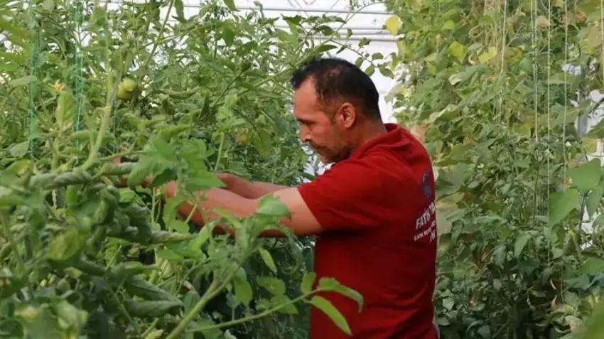 3 kez vazgeçti yapınca servet kazandı! Konya'da 1000 ton ürün alıyor: Arkadaş ortamına aklına geldi