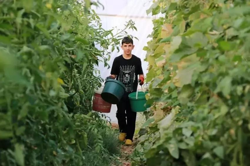 3 kez vazgeçti yapınca servet kazandı! Konya'da 1000 ton ürün alıyor: Arkadaş ortamına aklına geldi