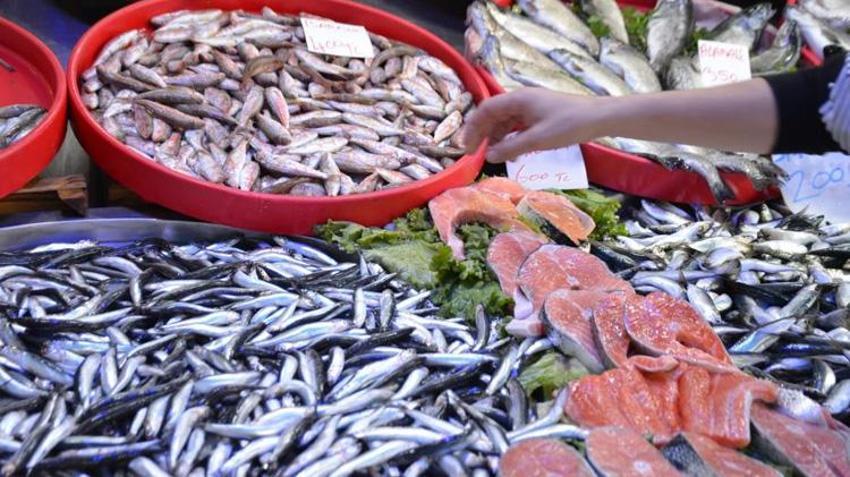 Tezgahlar doldu taştı! Talep arttı: En çok tercih edilen hamsi mi ve sardalya mı?