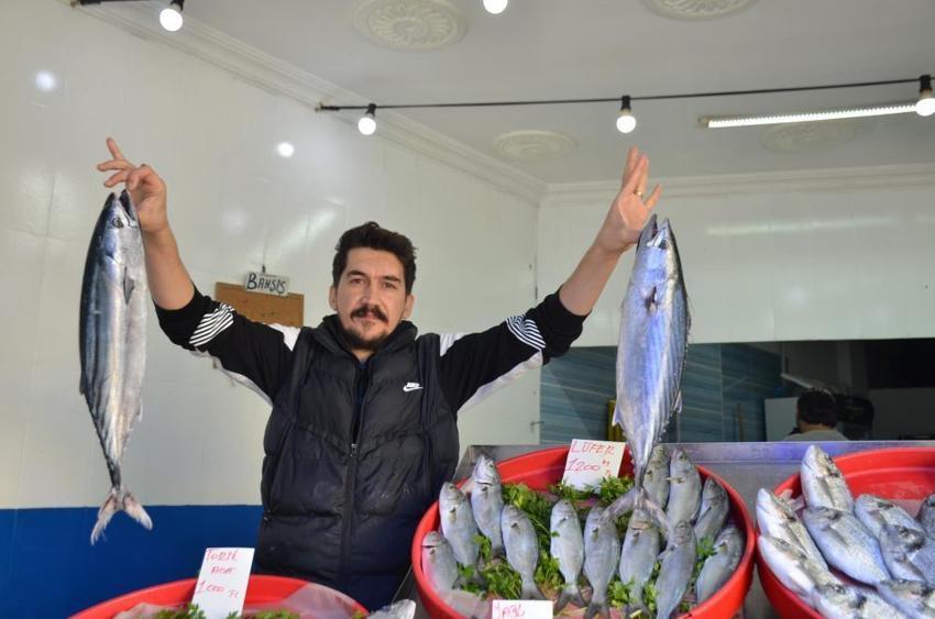 Tezgahlar doldu taştı! Talep arttı: En çok tercih edilen hamsi mi ve sardalya mı?