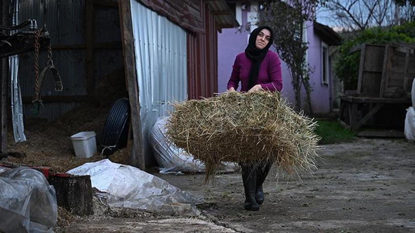 Düzceli genç kadının ilham veren başarısı! Bir inekle başladı, 5 yılda dev bir tesis kurdu