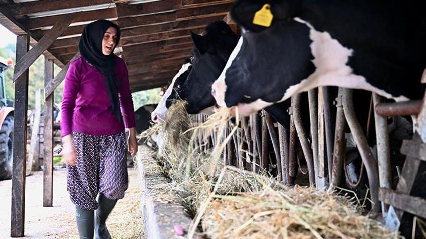 Düzceli genç kadının ilham veren başarısı! Bir inekle başladı, 5 yılda dev bir tesis kurdu