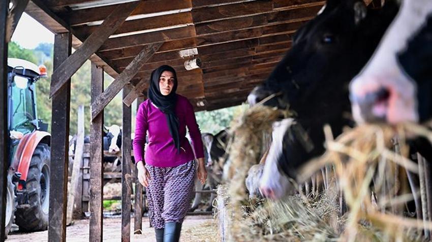 Düzceli genç kadının ilham veren başarısı! Bir inekle başladı, 5 yılda dev bir tesis kurdu