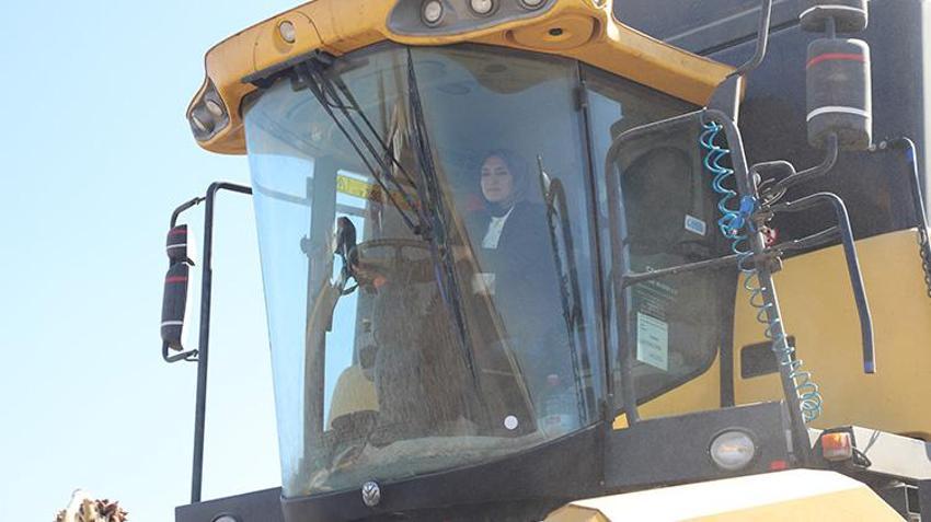 Karaman'daki bu tarlayı ekip biçenler çiftçi değil! 60 dönüm arazide çerezlik ayçiçeği hasat edildi