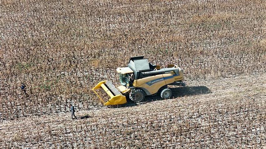 Karaman'daki bu tarlayı ekip biçenler çiftçi değil! 60 dönüm arazide çerezlik ayçiçeği hasat edildi