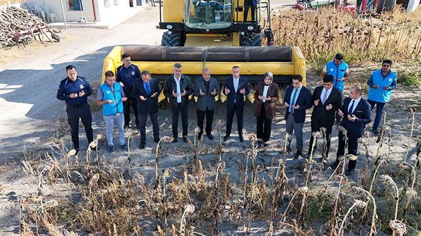 Karaman'daki bu tarlayı ekip biçenler çiftçi değil! 60 dönüm arazide çerezlik ayçiçeği hasat edildi