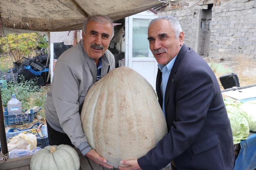 Sivaslı çiftçi tarlasına ata tohumu ekti, her biri tam 50 kilo çıktı: İki kişi zor taşıyor! Gören fotoğrafını çekiyor