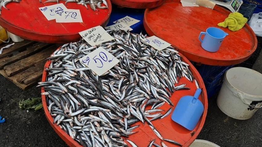 Tekirdağ'da hamsi bereketi! Fiyatı sudan ucuz: Vatandaş pazara akın etti!