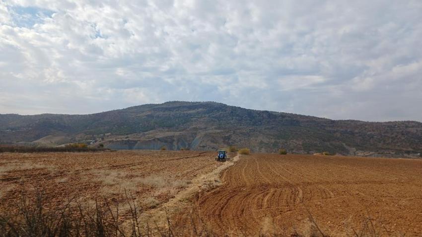 Diyarbakır'da ekimine başlandı! Tohumu binlerce dekara yayıldı