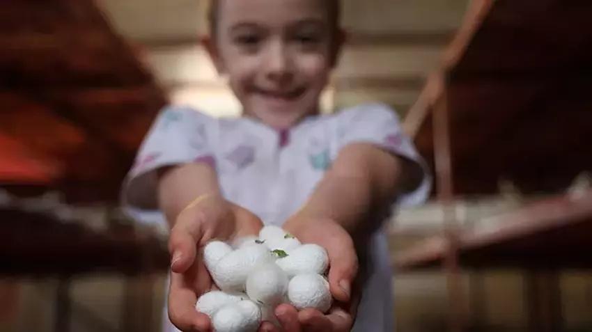 Babaannesinden gördü yılda bir kez üretim yapıyor! Yılda 800 kilo satıp paraya para demiyor