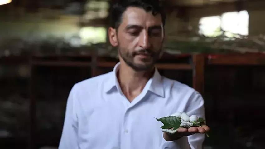 Babaannesinden gördü yılda bir kez üretim yapıyor! Yılda 800 kilo satıp paraya para demiyor