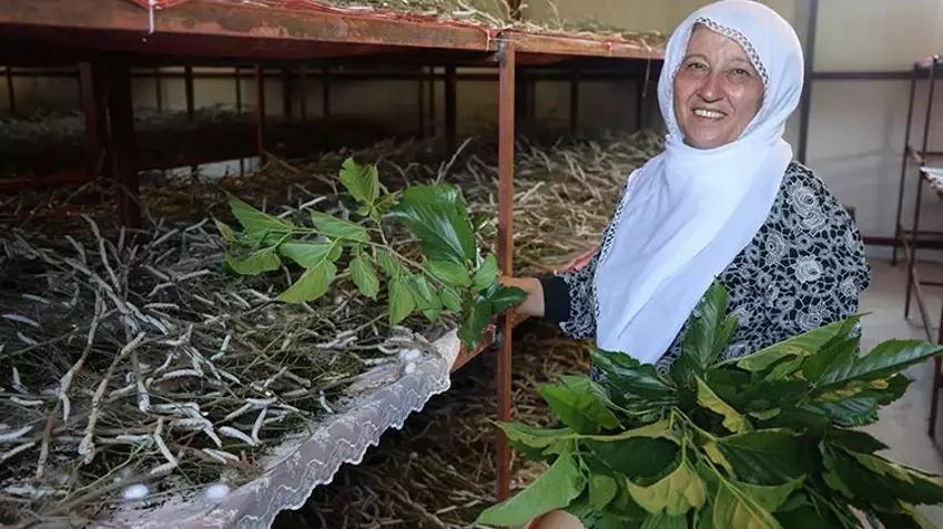 Babaannesinden gördü yılda bir kez üretim yapıyor! Yılda 800 kilo satıp paraya para demiyor
