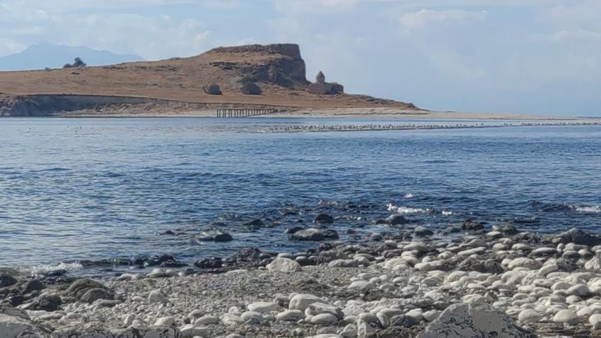 Van'da yüzde 80'i gün yüzüne çıktı! Ada yolu üzerinde bulundu