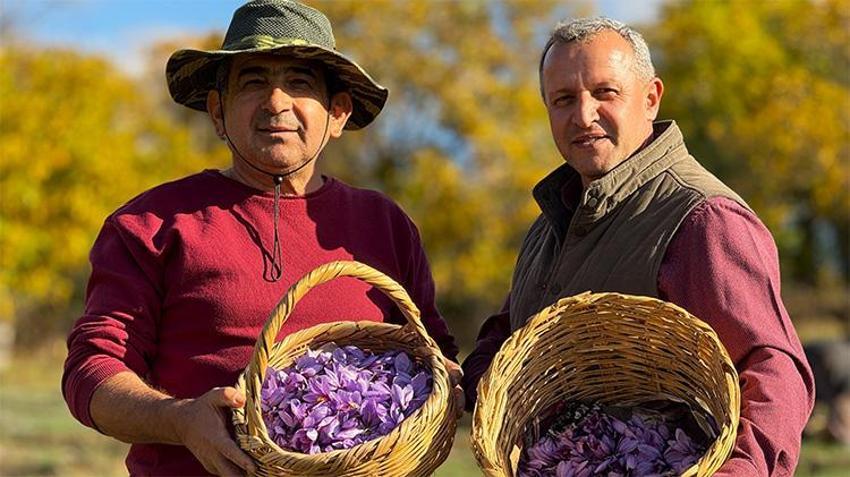 Eken senesinde ev araba alıyor! Şehrin imza ürünü, gramı 600 TL'den kapış kapış gidiyor