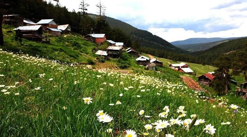 Sivas'ın kalbinden geçiyor! Burası gerçek mi? Ayder'i gölgede bırakan güzellik