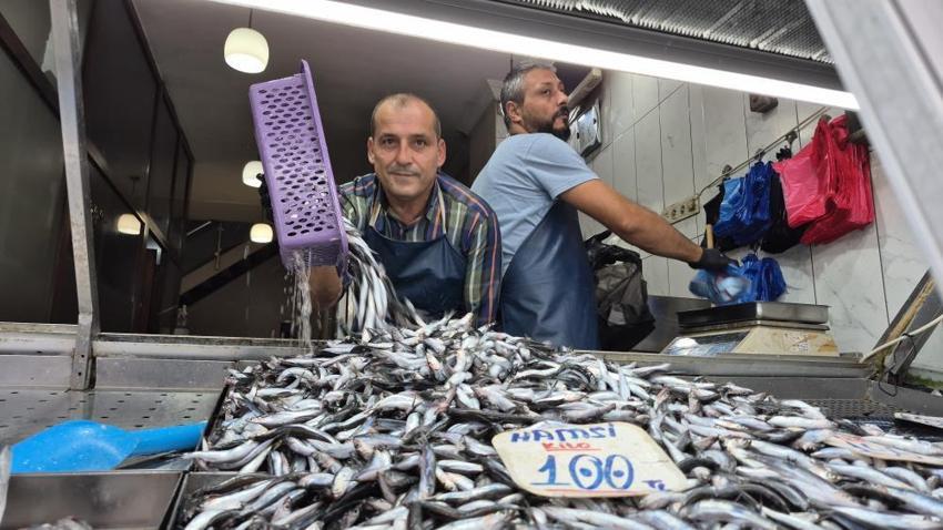 Aşırı sıcaklar denizdeki dengeleri bozdu: Palamut yok, hamsi zirvede!
