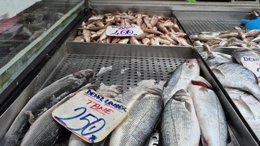 Aşırı sıcaklar denizdeki dengeleri bozdu: Palamut yok, hamsi zirvede!