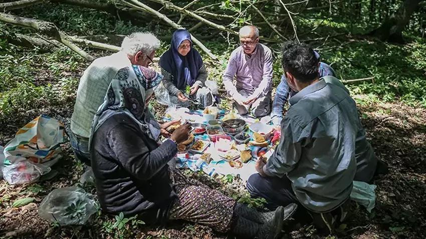Bursa'da her ağaçtan 14 bin TL kazandırıyor: Hasat ailecek yapılıyor! Kilosu 1400 TL'den kasa kasa sipariş alıyor