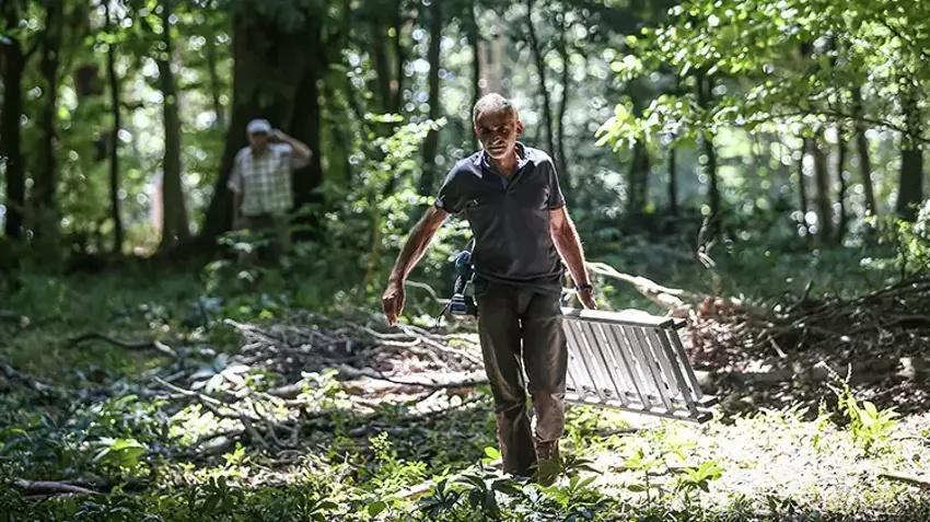 Bursa'da her ağaçtan 14 bin TL kazandırıyor: Hasat ailecek yapılıyor! Kilosu 1400 TL'den kasa kasa sipariş alıyor
