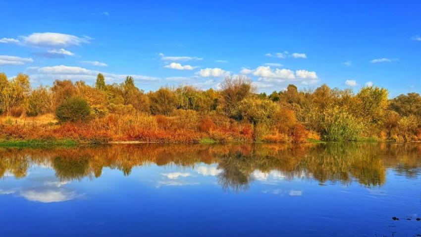 Diyarbakır'da Dicle Nehri'nin 100 Km'lik kısmı nehir olmadığı ortaya çıktı! 1992 Yönetmeliği ile hayalet oldu: 'Zehir akıyor, fabrikalaşmaya açık!'