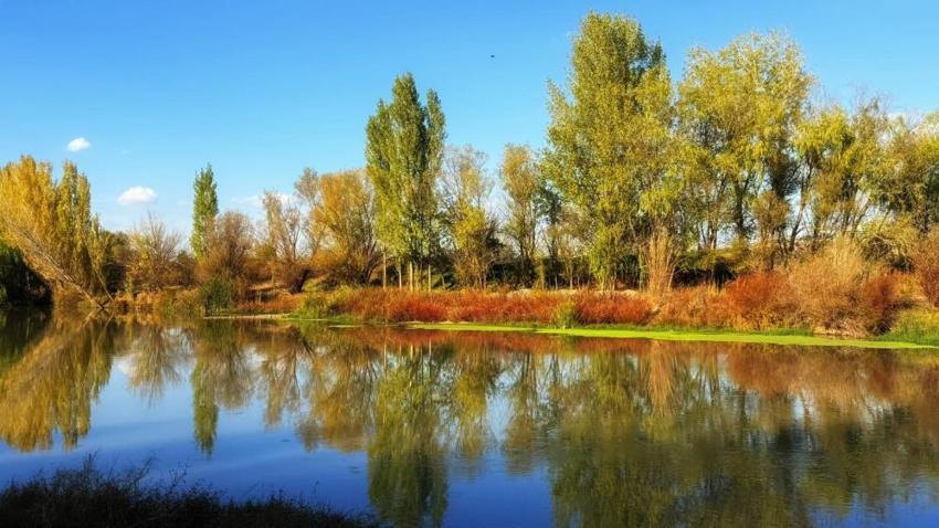 Diyarbakır'da Dicle Nehri'nin 100 Km'lik kısmı nehir olmadığı ortaya çıktı! 1992 Yönetmeliği ile hayalet oldu: 'Zehir akıyor, fabrikalaşmaya açık!'