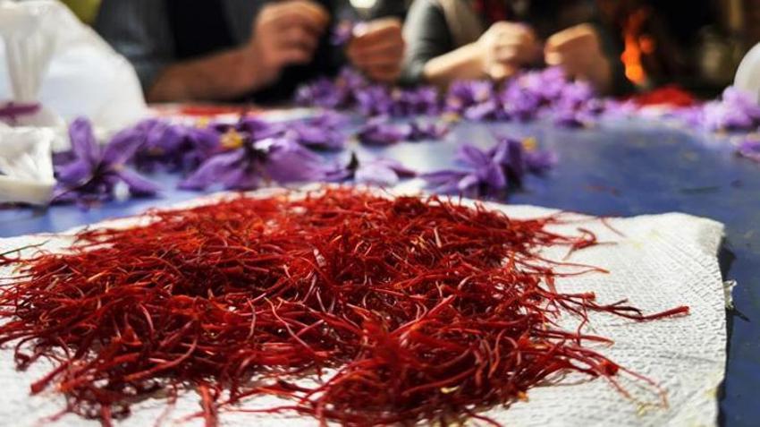 100 gramı 60 bin TL! Topraktan para fışkırıyor, bu bitkiyi eken hemen zengin oluyor, bir tutamı yetiyor