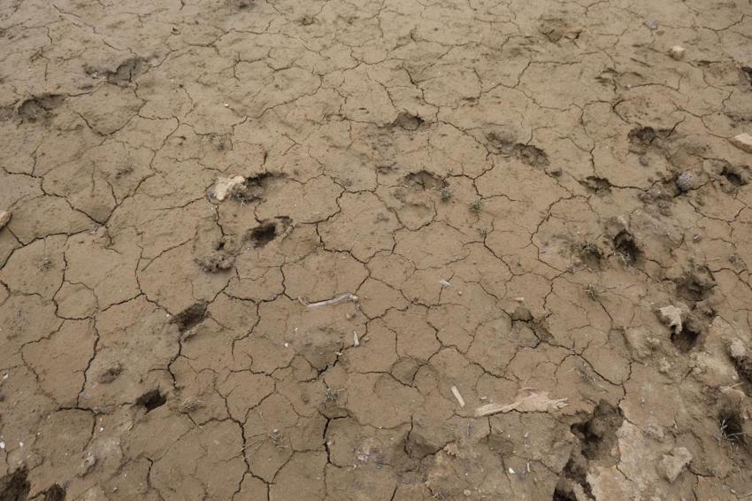 Adana Kozan Barajı 16 yıldır yaşadığı kuraklıkla kurudu: Artık arabalarla geziliyor!