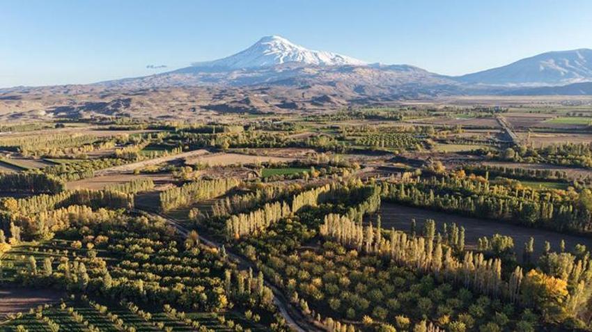 Ağrı Dağı eteklerinde renk şöleni! Iğdır İrem Bağları sonbaharla birlikte adeta tabloya dönüştü