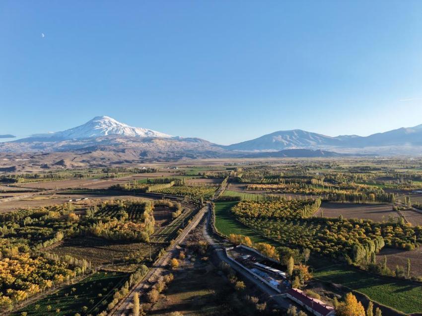 Ağrı Dağı eteklerinde renk şöleni! Iğdır İrem Bağları sonbaharla birlikte adeta tabloya dönüştü