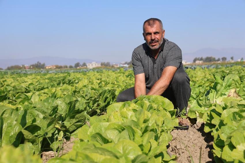 Yağmur yağdı, hasat 15 gün erken geldi: Tarladan sofraya fiyat farkı isyan ettirdi! 'Tarlada 25, markette 70 lira'