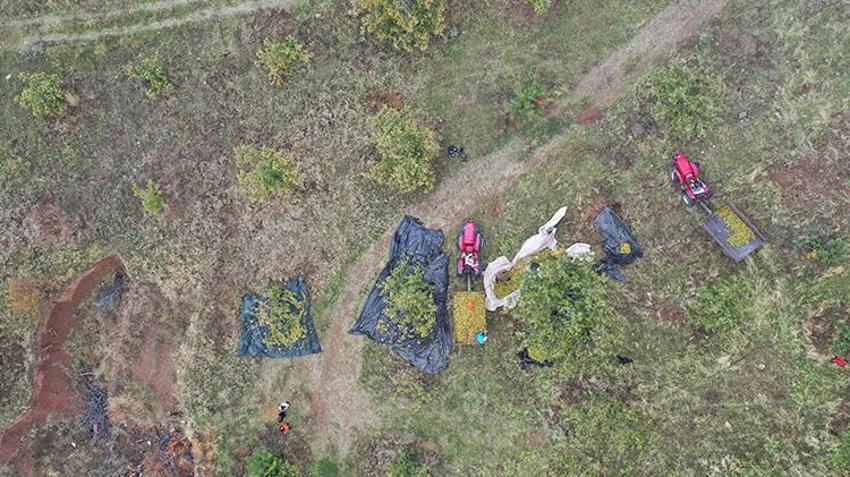 Memleketlerine dönüp çorak arazi satın aldılar! Ektikleri ürünle hayatları değişti: Şimdi 20 ülkeden sipariş yağıyor