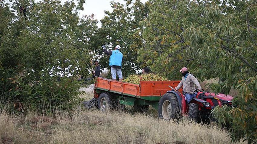 Memleketlerine dönüp çorak arazi satın aldılar! Ektikleri ürünle hayatları değişti: Şimdi 20 ülkeden sipariş yağıyor