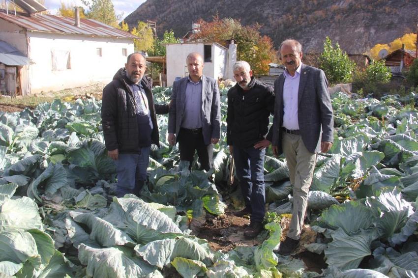 Dedesinden kalma yöntemi uyguladı, her biri 20 kiloya ulaştı! Sivas'ta eşi benzeri yok! Tek seferde 3 bin üretiyor