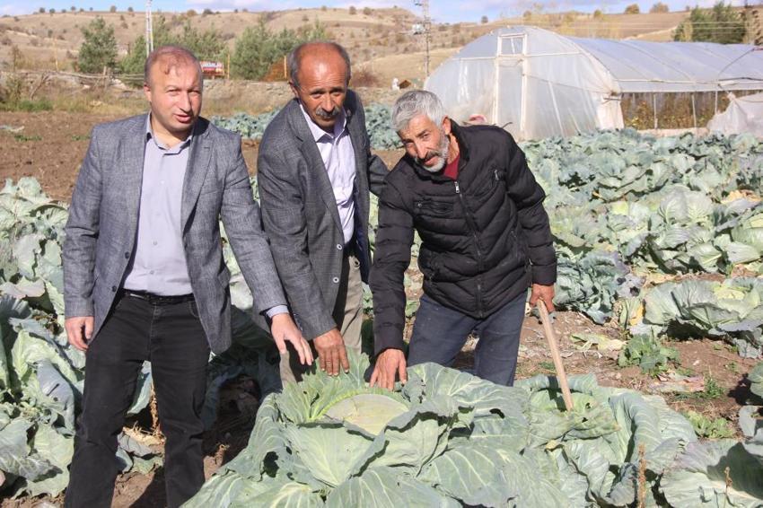 Dedesinden kalma yöntemi uyguladı, her biri 20 kiloya ulaştı! Sivas'ta eşi benzeri yok! Tek seferde 3 bin üretiyor
