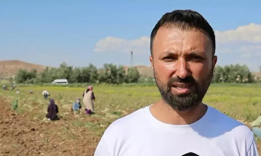 İngiltere'de duydu Aksaray'da tohumunu ekti! Hasat zamanı Avrupa'dan tonlarca sipariş aldı: Servet kazandı