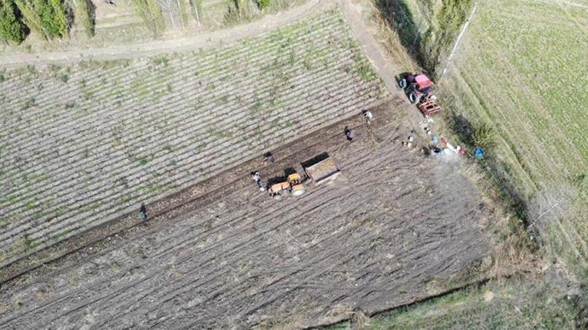 Bayburt'ta çiftçinin yüzünün güldüren 'kartol' hasadında sona gelindi!