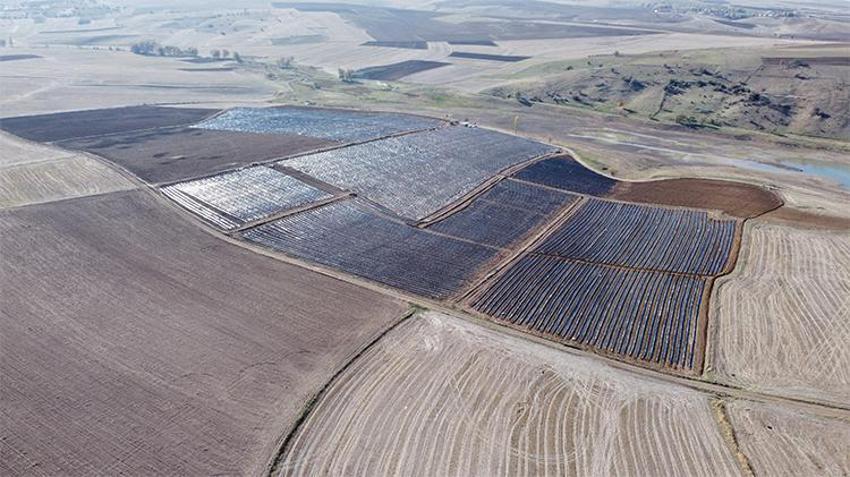 Yozgat'ta 400 dönümlük çilek projesi bölge ekonomisine can verecek