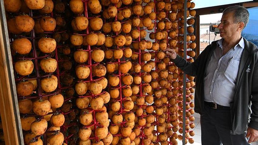 Çanakkaleli çiftçi sistemini kurdu! Kurutulan üründen 2 kat daha fazla kâr ediyor