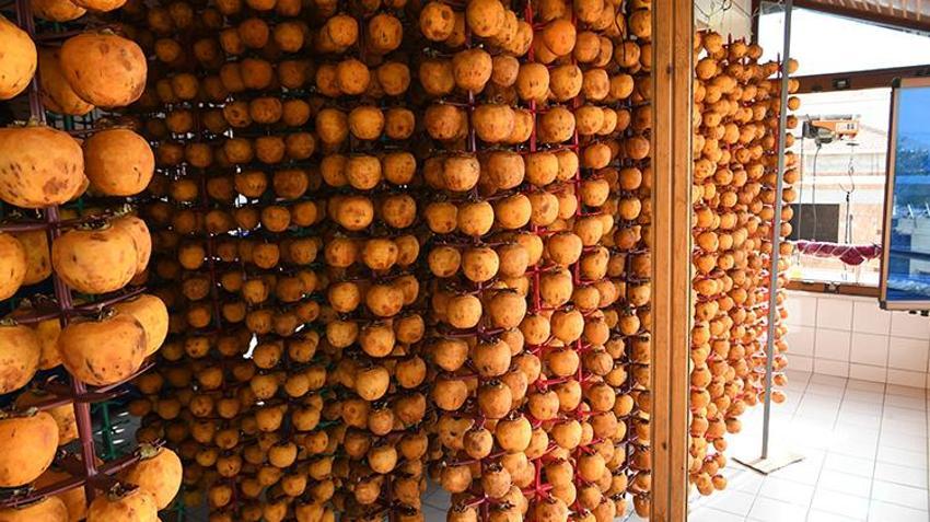 Çanakkaleli çiftçi sistemini kurdu! Kurutulan üründen 2 kat daha fazla kâr ediyor