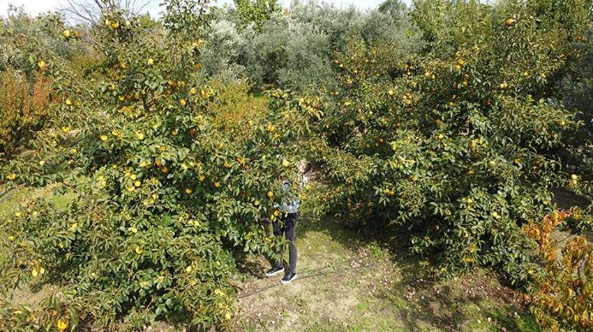 Çanakkaleli çiftçi sistemini kurdu! Kurutulan üründen 2 kat daha fazla kâr ediyor