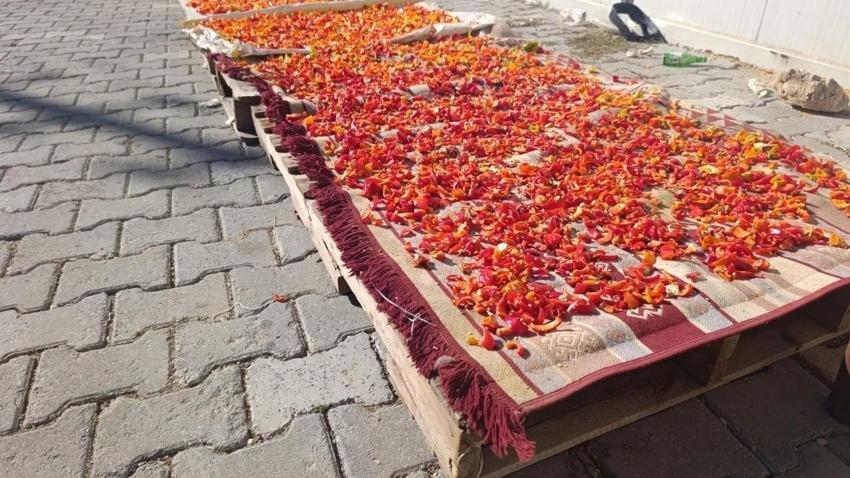 Malatya'da ev hanımları yapıyor: Kapı önünde mesai başlıyor