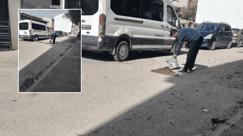 Eskişehir'de caddelerde görülddü! Kimse müdahale edemiyor: Vatandaş çaretsini buldu