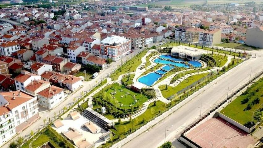 Eskişehir'de caddelerde görülddü! Kimse müdahale edemiyor: Vatandaş çaretsini buldu