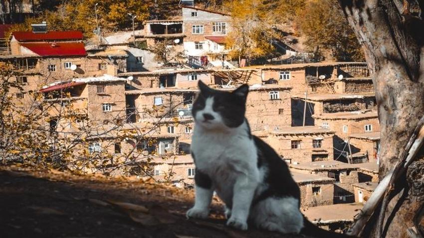 Bitlis'in köyü çevre illerde şöhret kazandı! Her bakışta farklı görünüyor