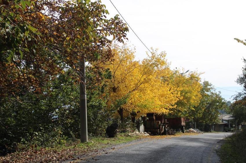Aydın da nasibini aldı: Merkeze 25 kilometre uzakta dağlarda görüldü