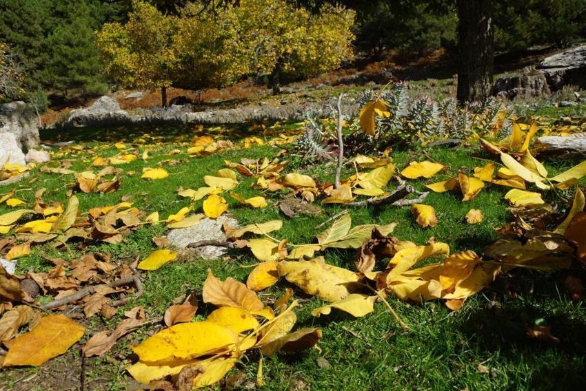 Aydın da nasibini aldı: Merkeze 25 kilometre uzakta dağlarda görüldü